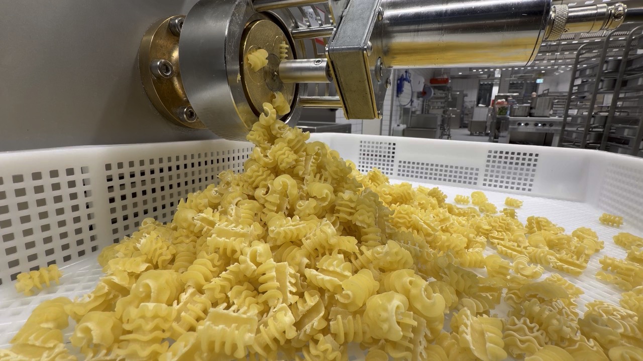 Fresh pasta coming off an extrusion line